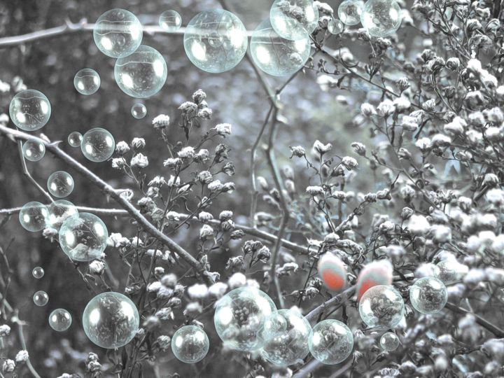 Bulles de Noël 摄影
