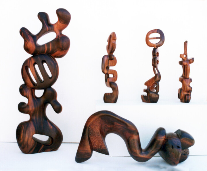 Sonoran ironwood carvings 雕塑, 35.8x35.8 in