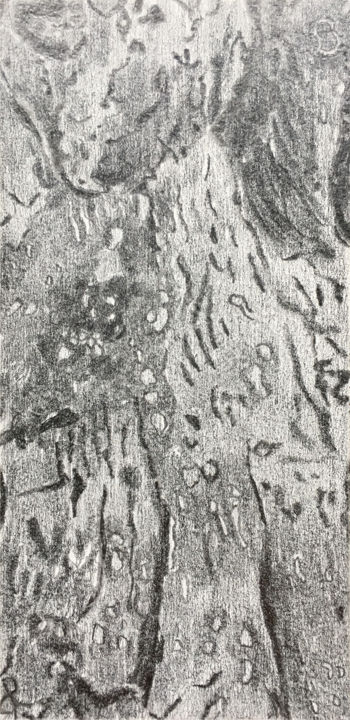 图画,  7.3x3.5 in 