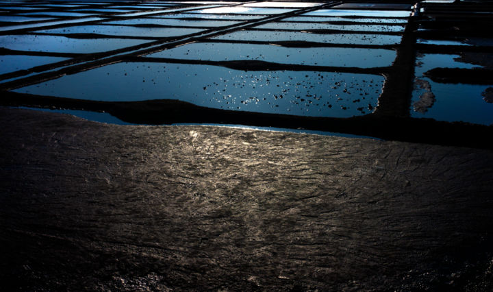 Photographie intitulée "Marais" par Jean-Pascal Plettener, Œuvre d'art originale, Photographie numérique