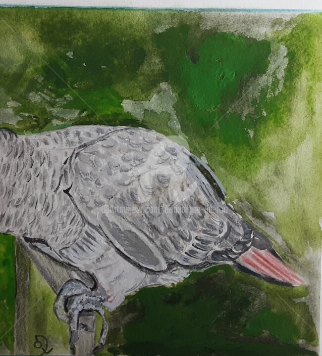 Perroquet 绘画, 4.9x6.7 in
