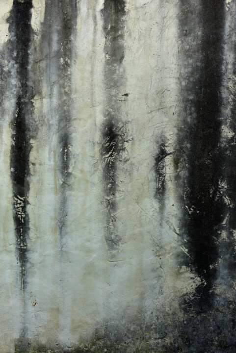 Verticales 摄影, 35.4x23.6 in
