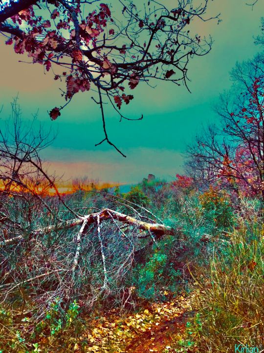 Photographie intitulée "Nulle part....Quelq…" par Kirlian, Œuvre d'art originale, Photographie argentique