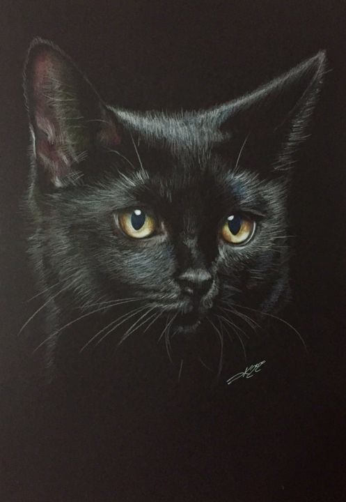 图画,  19.7x13.8 in 