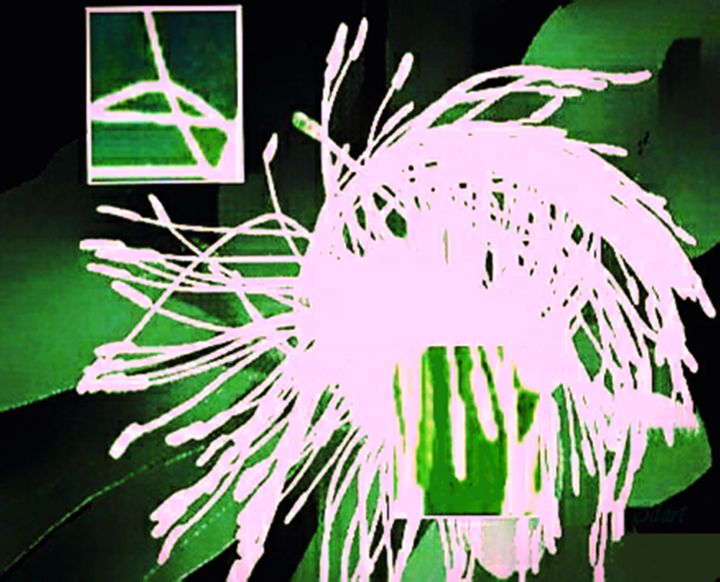 Photography titled "L'étoilée" by Seiditadeniseart, Original Artwork, Digital Photography