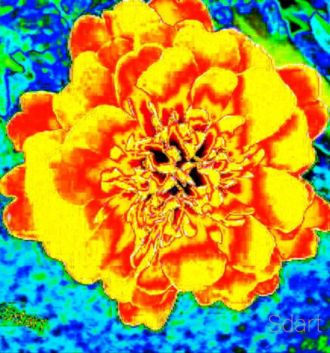 Photography titled "La gourmande" by Seiditadeniseart, Original Artwork, Digital Photography