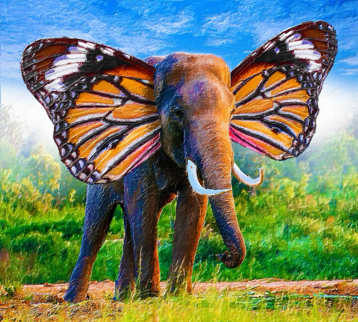 Butterfly Elephant 绘画, 18x20 in