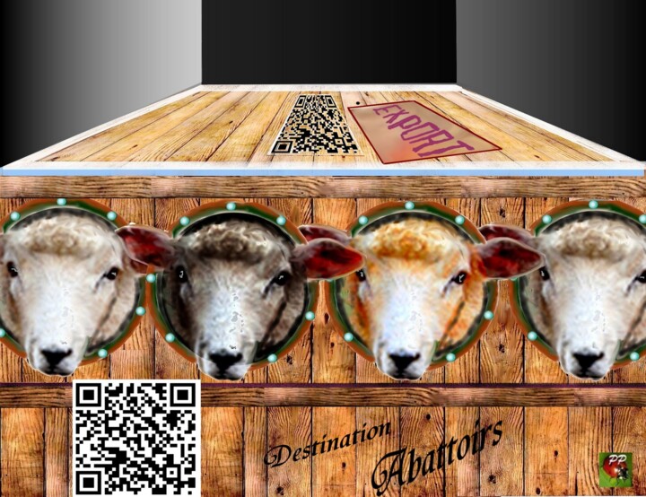 4 MOUTONS
