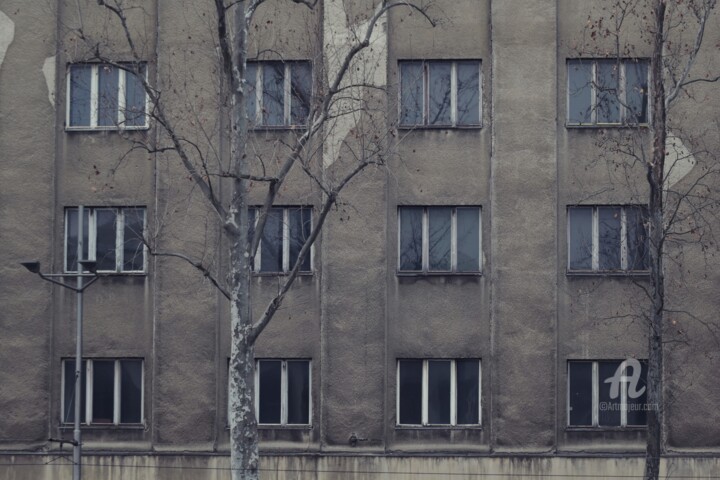 Windows 摄影