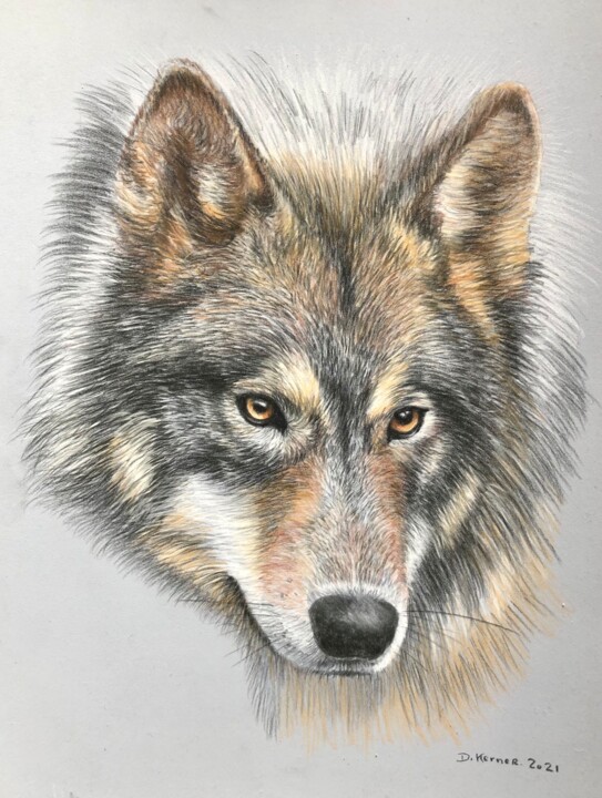 Rysunek zatytułowany „Tête de loup” autorstwa Deborah Kerner, Oryginalna praca, Pastel