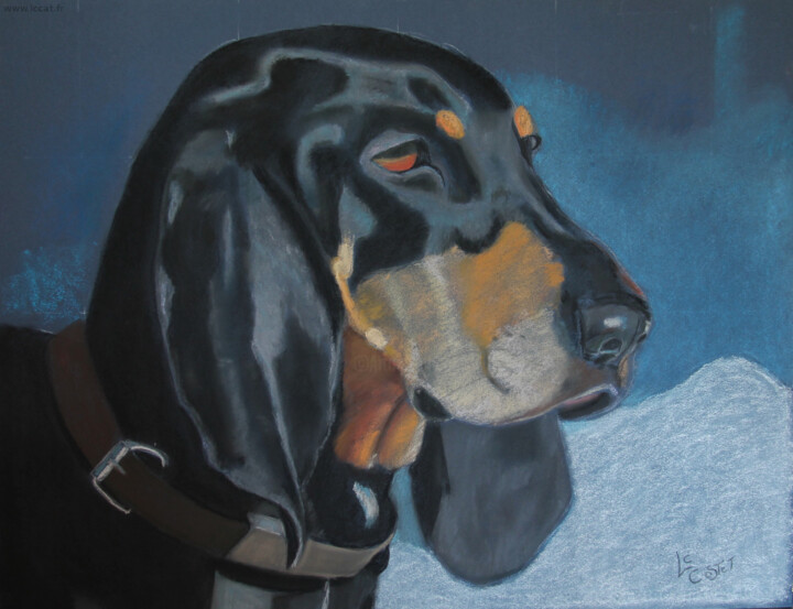 Peinture intitulée "Comtesse" par Catherine Costet (Lccat), Œuvre d'art originale, Pastel