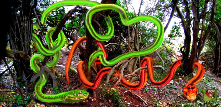 NATURE SERPENTINE