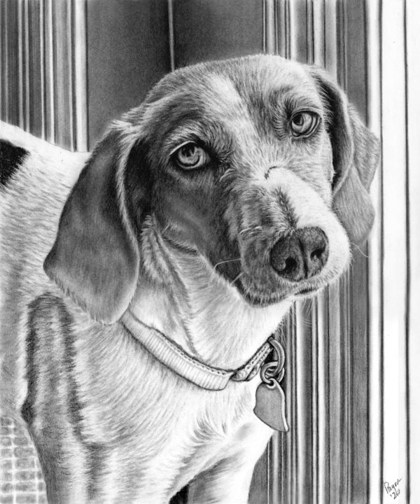 Daisy 图画, 12x10 in