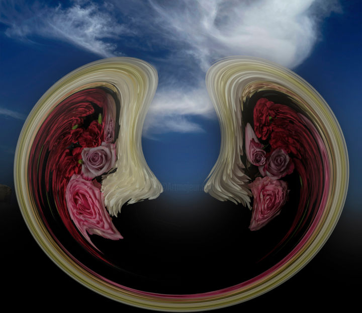 "Chrysanthemum, Mage…" başlıklı Fotoğraf Allen Ruttenberg tarafından, Orijinal sanat, Fotoşoplu fotoğrafçılık