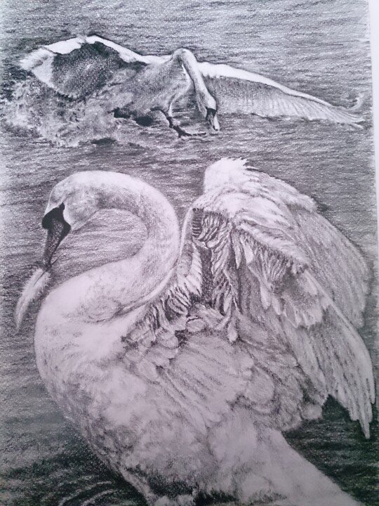 Drawing,  15.8x11.8 in 