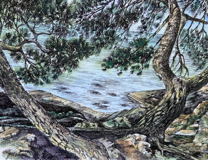 Majorque ,les pins tordus. Drawing, 9.5x12.6 in