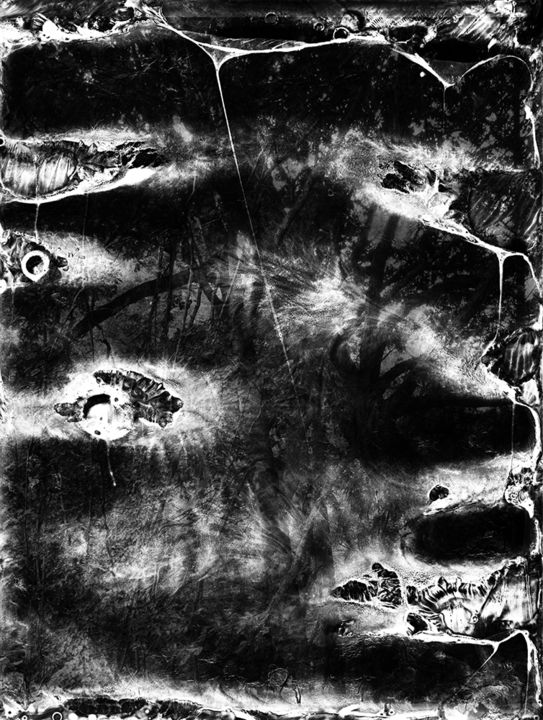 Spirit of Forest 01 摄影, 16.1x11.4 in