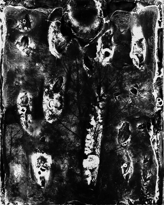 Spirit of Forest 05 摄影, 16.1x11.4 in