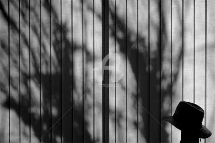 Projet 365 #180 - Oh soleil 摄影