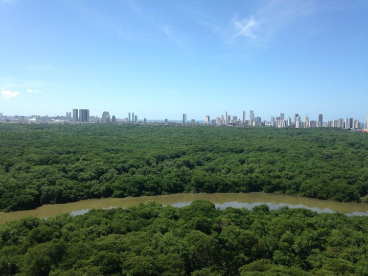Fotografia intitulada "Nature" por Rafaela Sabino, Obras de arte originais, Fotografia digital