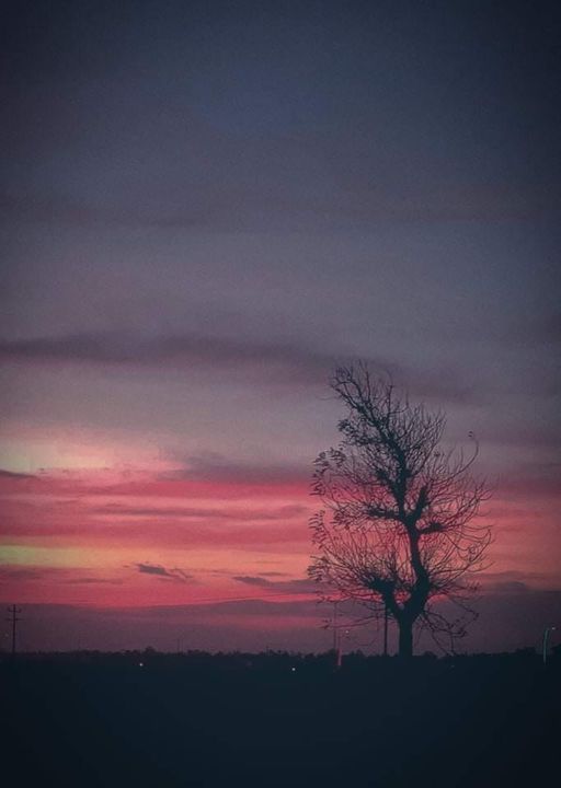 Photography titled "Sunset is gentle an…" by Sisneros Belford, Original Artwork, Analog photography