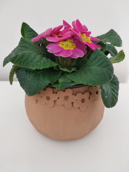 VASO ANNAMARIA 设计, 4.7x3.9 in