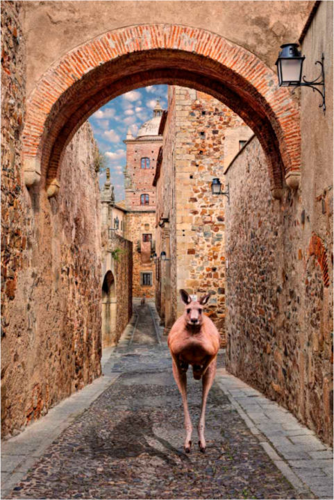 Digital Arts titled "Local Tourism (Turi…" by Fernando Paramio Alamillo, Original Artwork, Photo Montage
