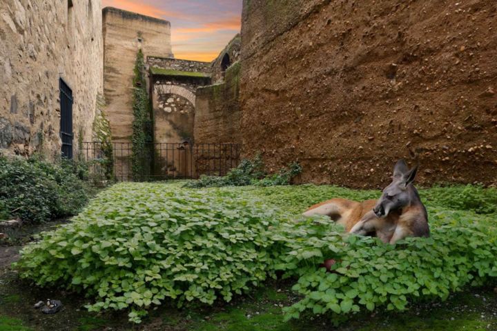 Digital Arts titled "The Backyard (El Pa…" by Fernando Paramio Alamillo, Original Artwork, Photo Montage