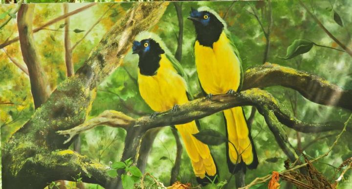 Painting titled "Ave cianocorax" by David Daza, Original Artwork, Acrylic Mounted on Wood Panel