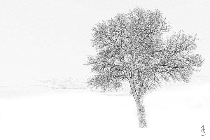 Photography titled "Hiver 1" by Imagelys Photographie, Original Artwork, Digital Photography