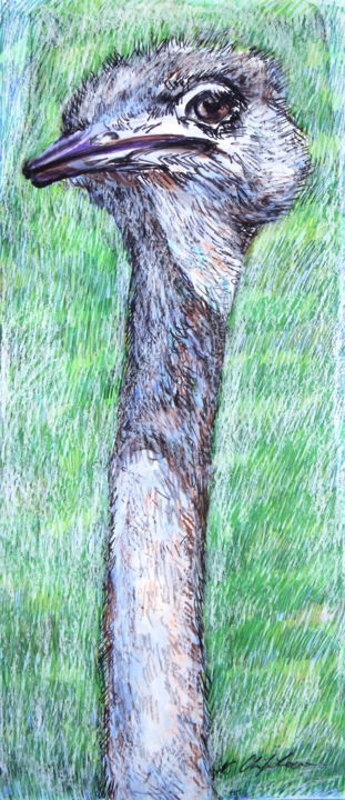 图画,  15.8x7.1 in 