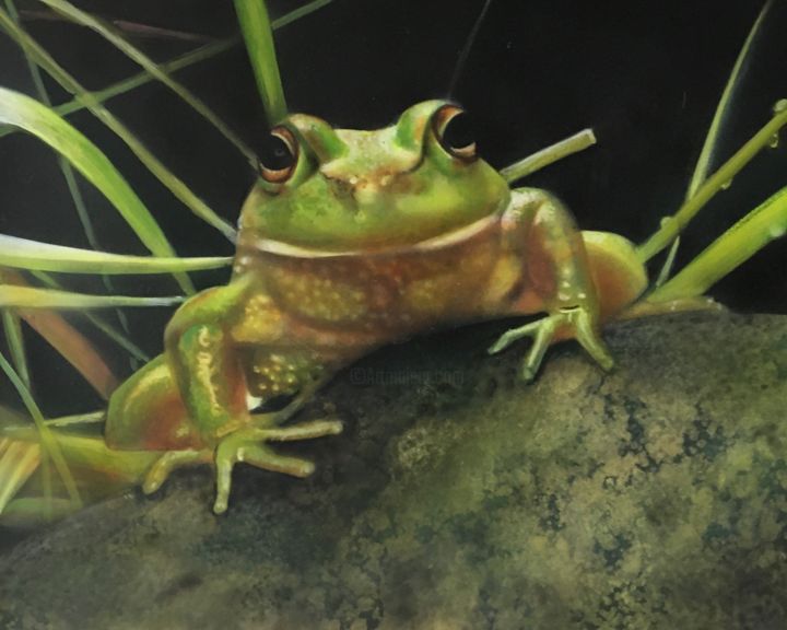 Frog on the stone 绘画, 7.1x9.5 in