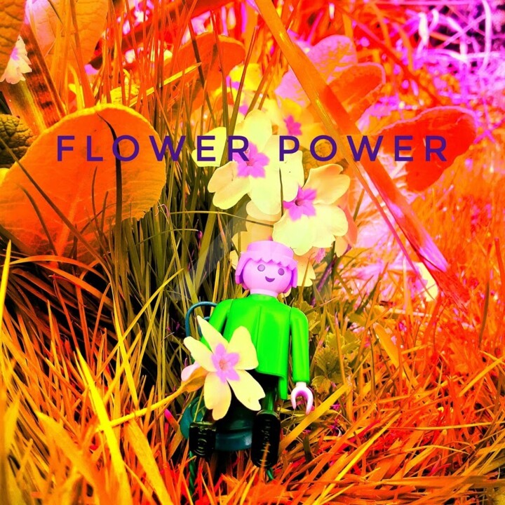 Flower Power 摄影