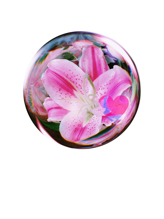 lily 数字艺术