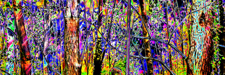 Digital Arts 