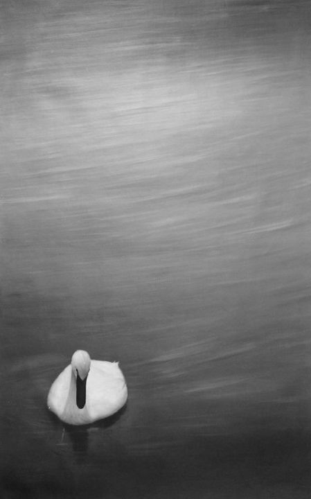 "Gliding Above" başlıklı Tablo Ross Van Gogh tarafından, Orijinal sanat, Petrol