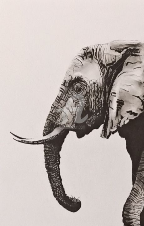 L'éléphant 4 图画, 15.8x11.8 in