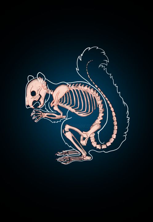 제목이 "skeleton squirrel"인 디지털 아트 Arslan Abdullaev로, 원작, 2D 디지털 작업