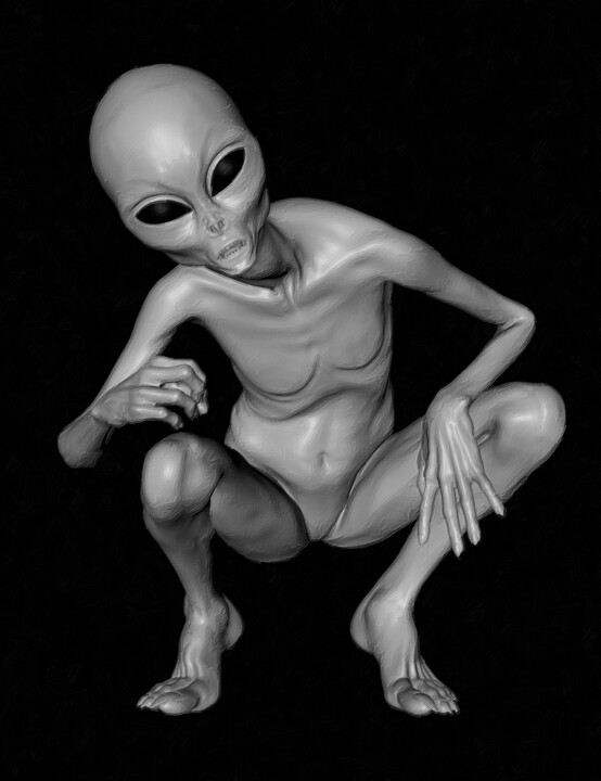 Retro Vintage 1970 1960 UFO Alien Space Conspiracy 绘画, 20x15 in