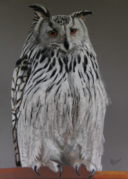 Peinture intitulée "Le grand duc" par Catherine Costet (Lccat), Œuvre d'art originale, Pastel