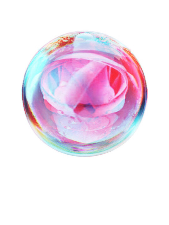 milky tender rose 数字艺术