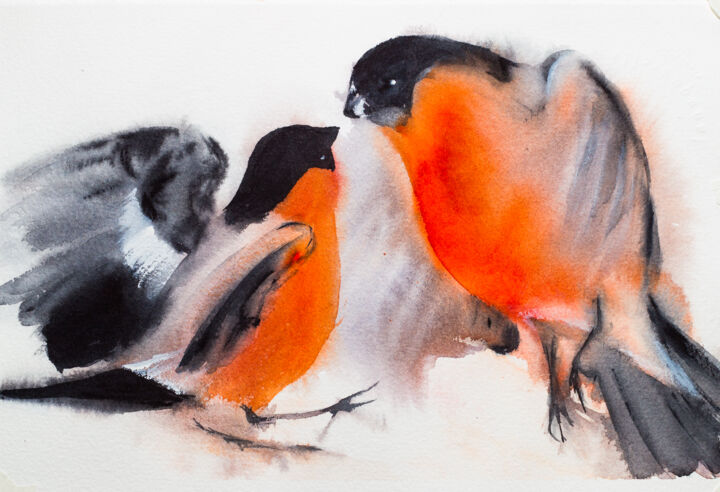 Fight of bullfinches. White background. Watercolor drawing. 绘画, 6.7x10.6 in
