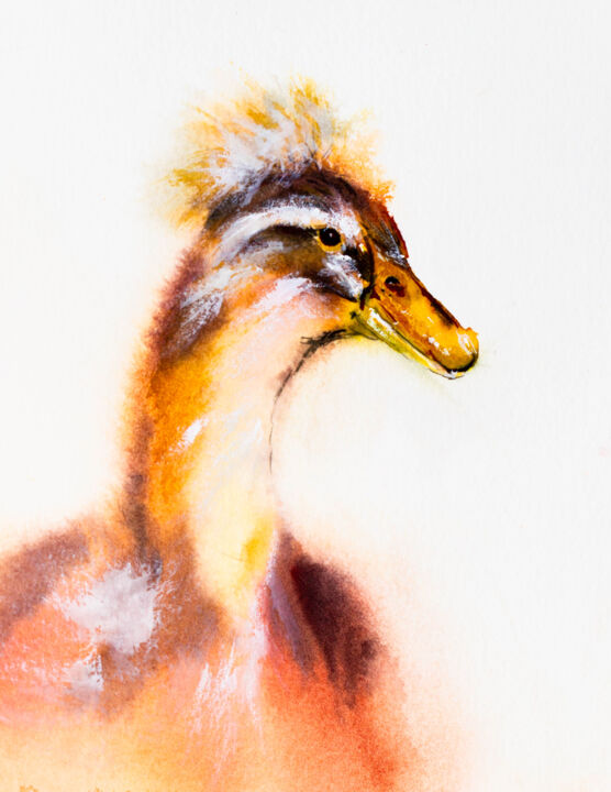 Pompom duck. White background. Watercolor drawing. 绘画, 7.5x5.9 in