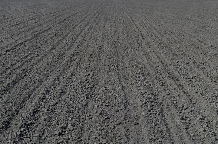 Freshly plowed black earth field 사진