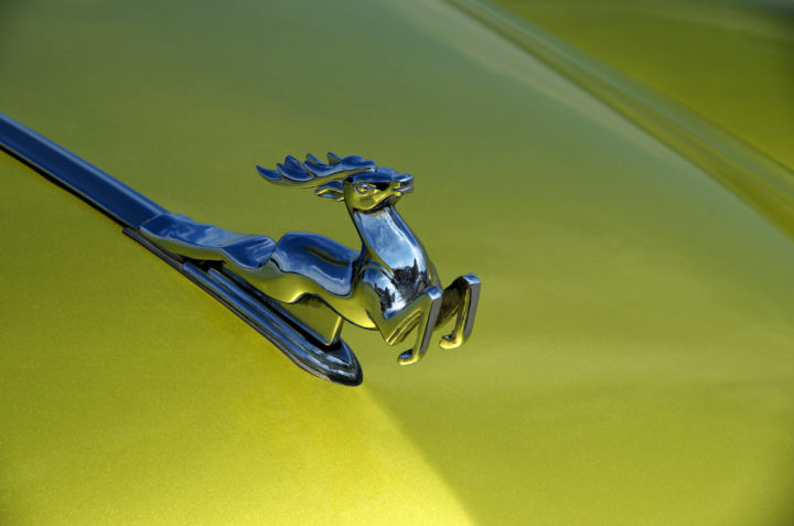 Label auto. Hood ornament 摄影