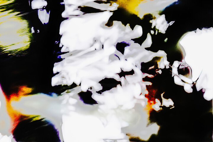 Fotografie getiteld "leaves on a windy a…" door Giorgio Gerardi, Origineel Kunstwerk, Digitale fotografie