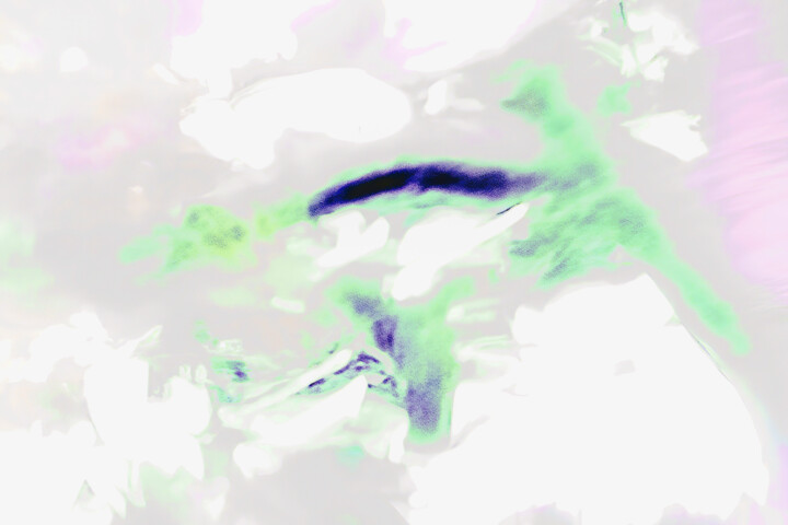 Fotografie getiteld "leaves on a windy a…" door Giorgio Gerardi, Origineel Kunstwerk, Digitale fotografie