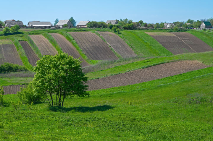Rural suburb view with land plots 사진