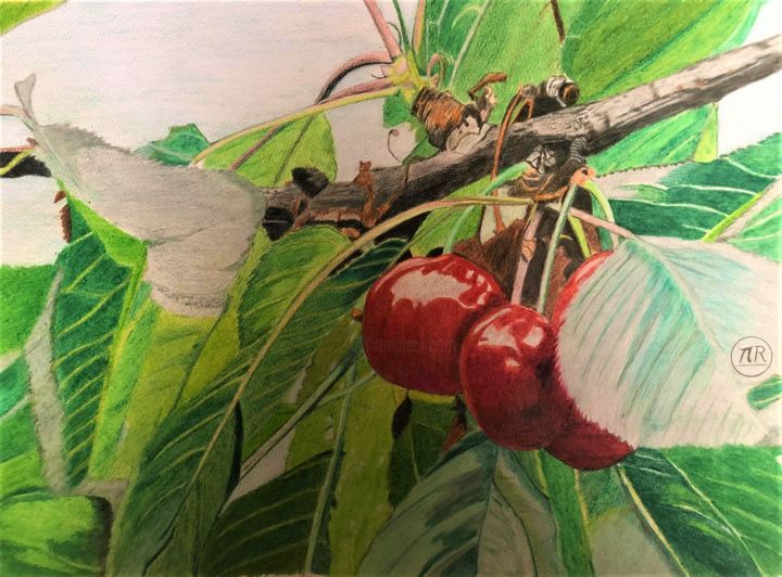 Le temps des cerises Drawing, 11x15.8 in