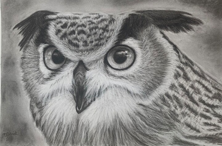 Tekening getiteld "Eyes of Wisdom" door Tammy Carrick, Origineel Kunstwerk, Houtskool